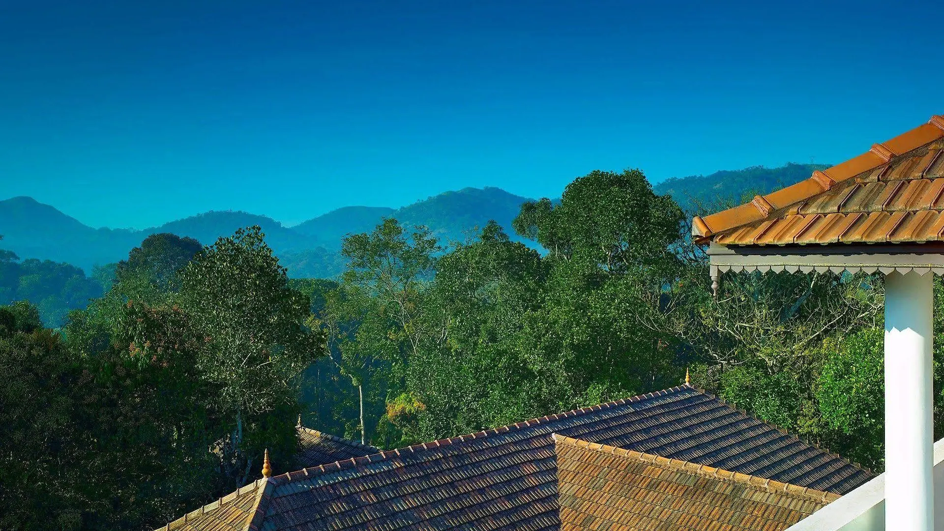 Elephant Court Thekkady Θέρετρο